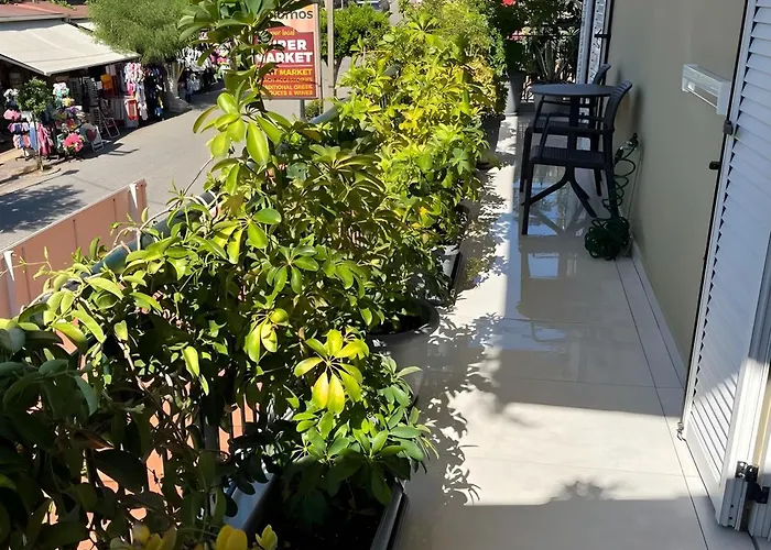 Casa Joelia